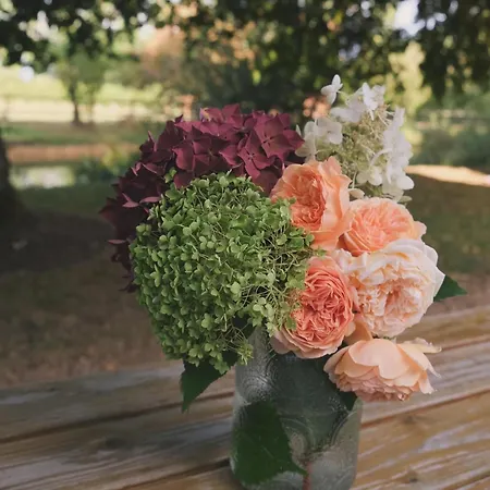 شقة Le Nid Boheme *