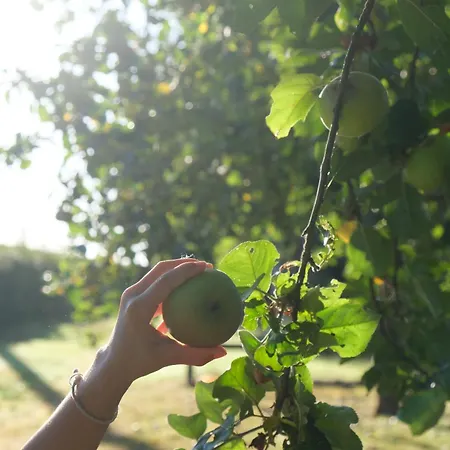 Le Nid Boheme شقة *