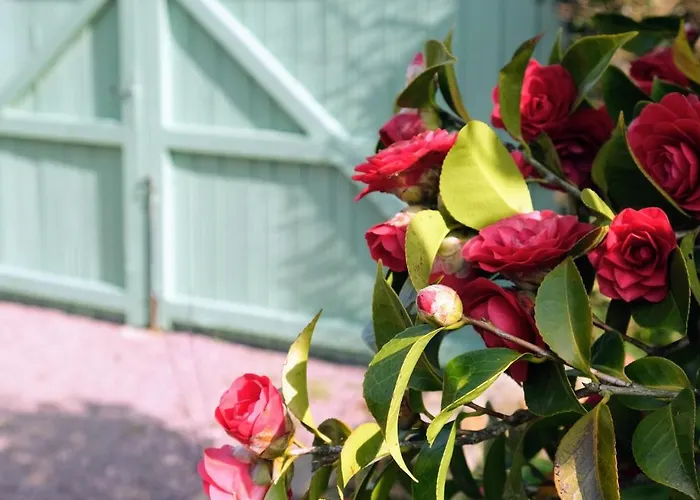 Apartment Le Nid Boheme